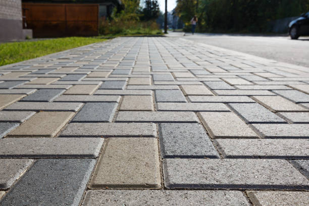 Best Local Driveway Pavers  in Hettinger, ND