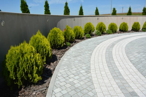 Best Residential Paver Driveway  in Hettinger, ND